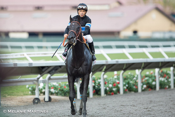 After Shared Belief's death, owner Jim Rome to stay in horse racing