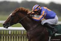 Daddy Longs Legs - '11 UAE Derby