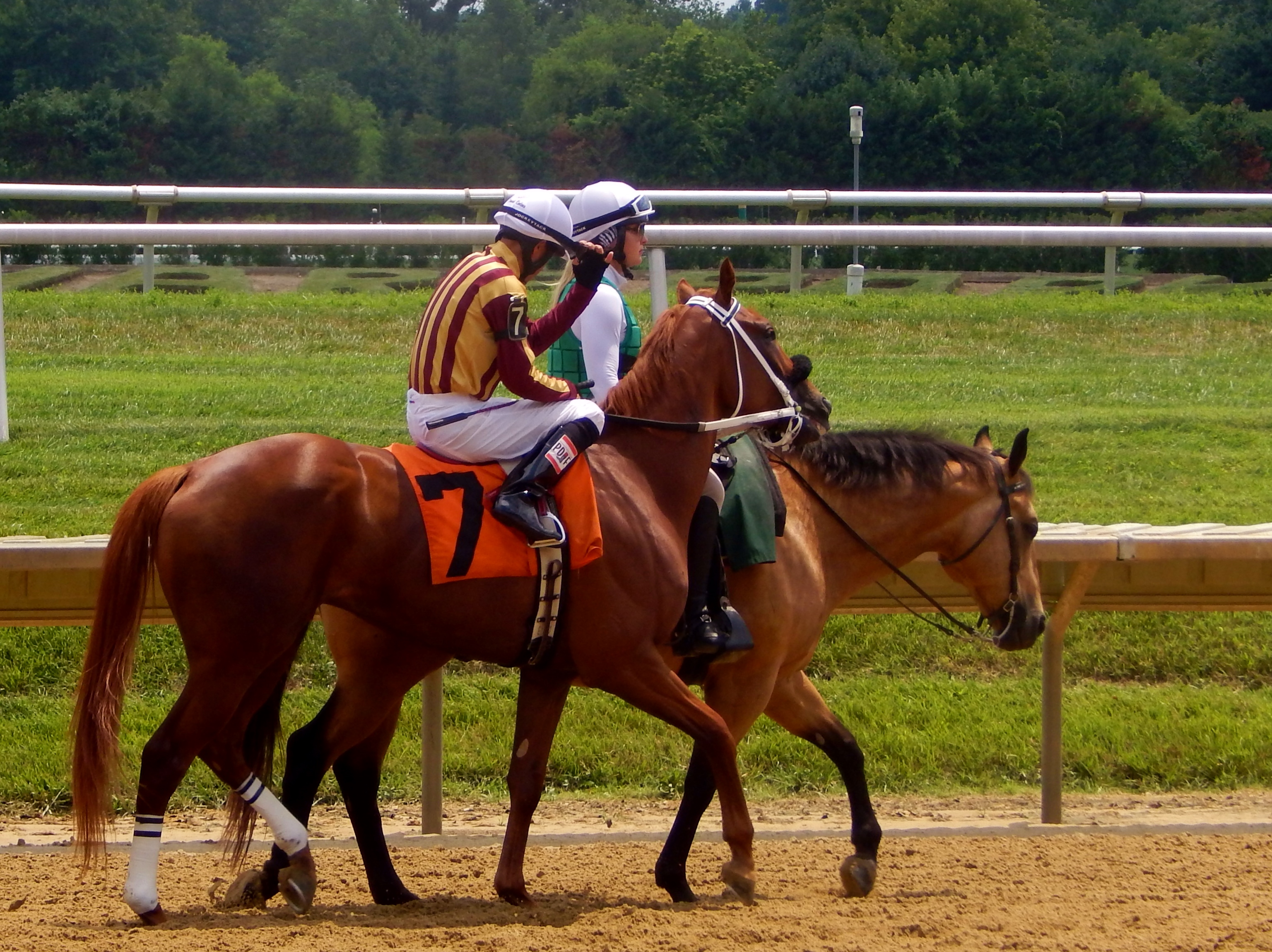 Delaware Handicap Day in Photos! Horse Racing Nation
