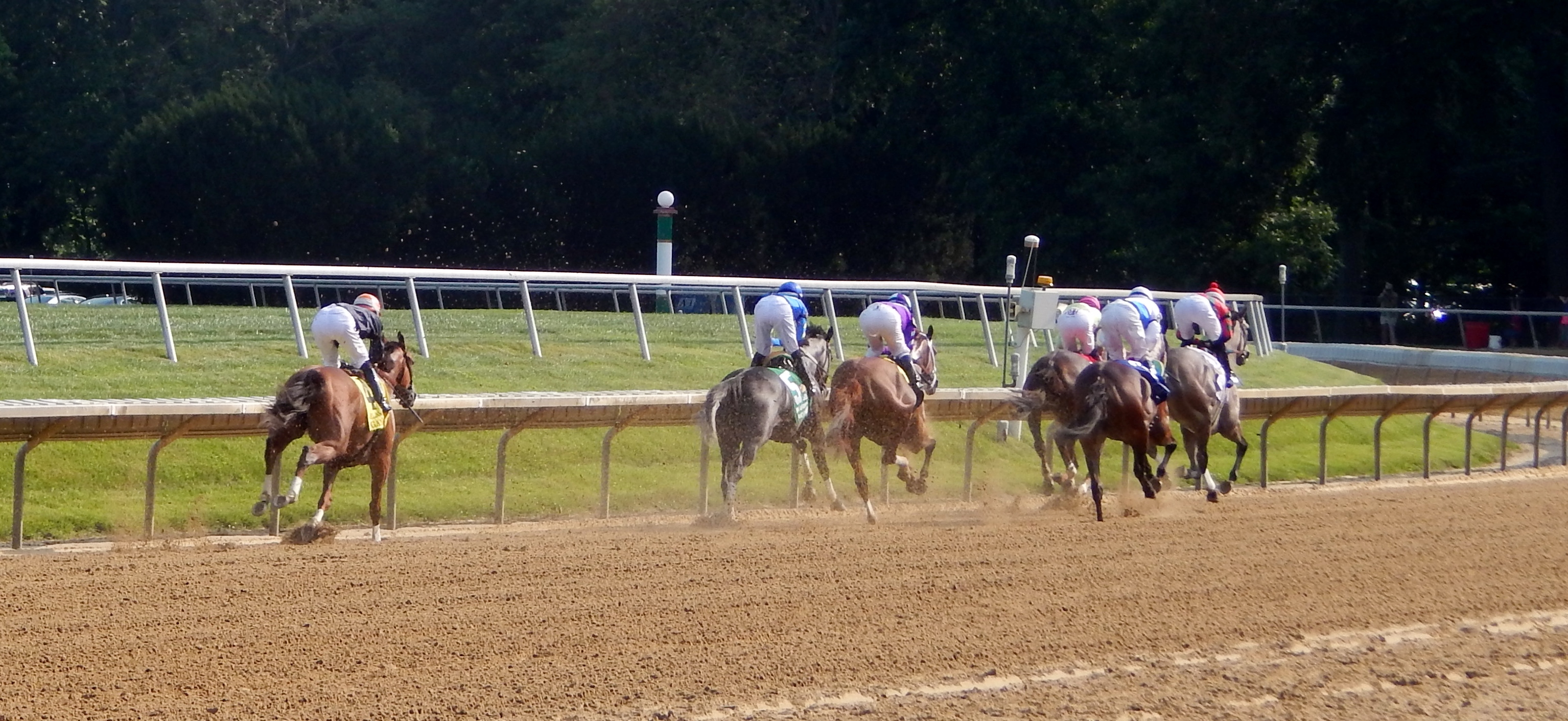 Delaware Handicap Day in Photos! Horse Racing Nation