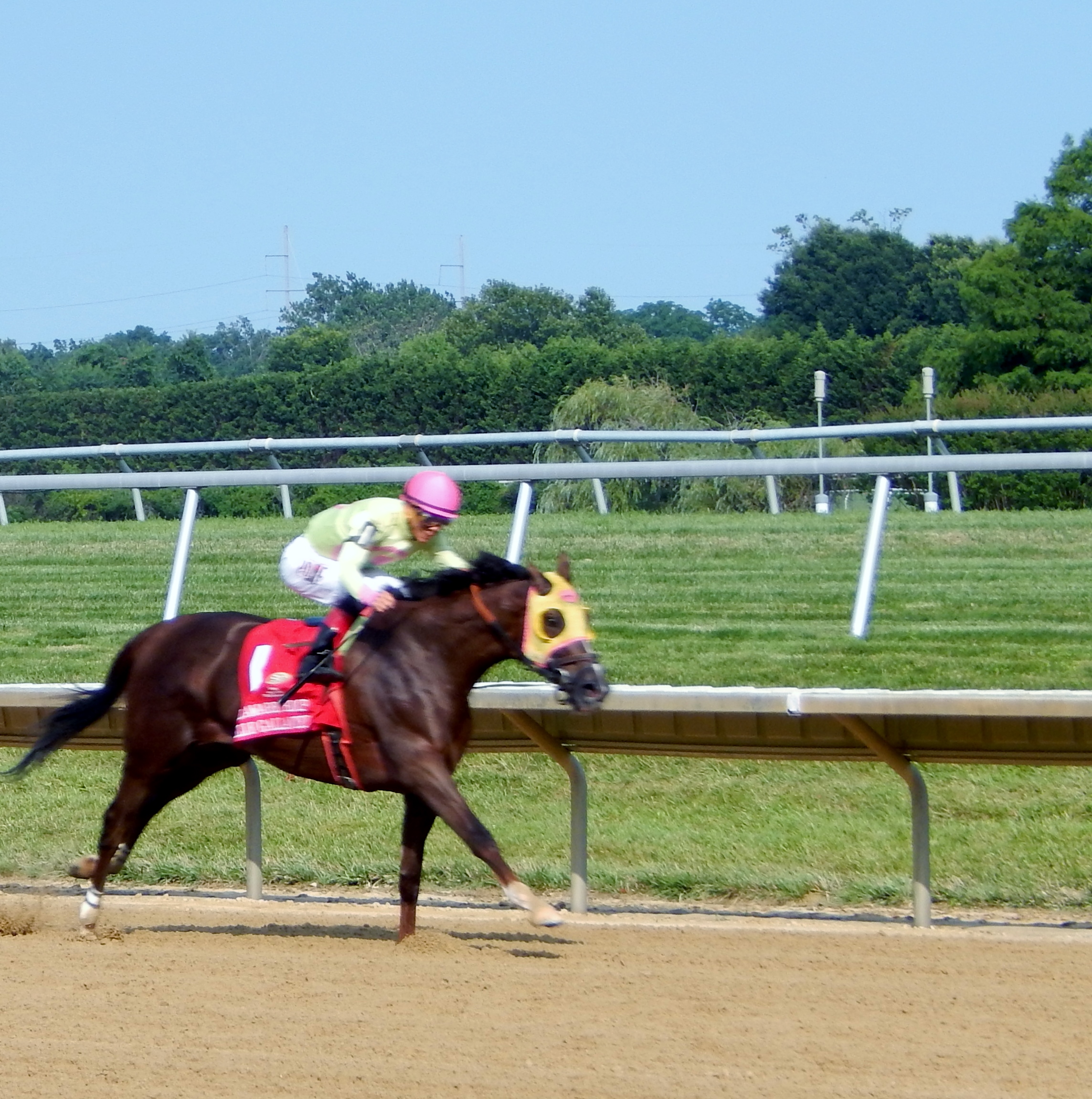 Delaware Handicap Day in Photos!