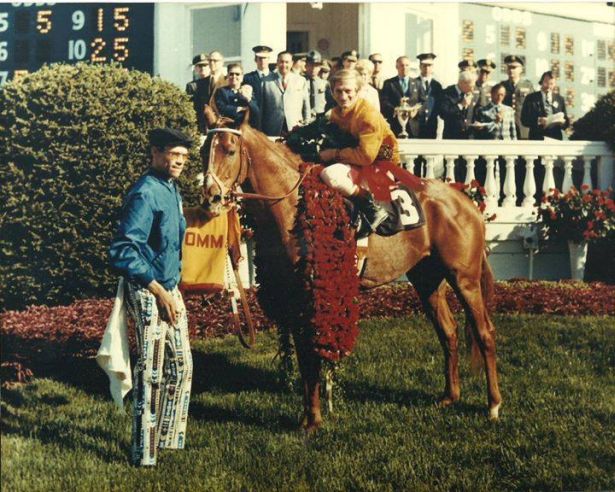 1970 Derby Winner's remains found, buried again