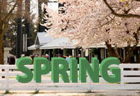 Spring