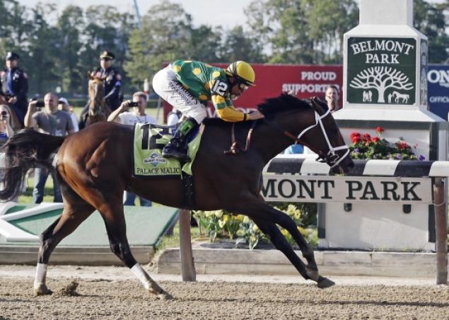Palace Malice pedigree