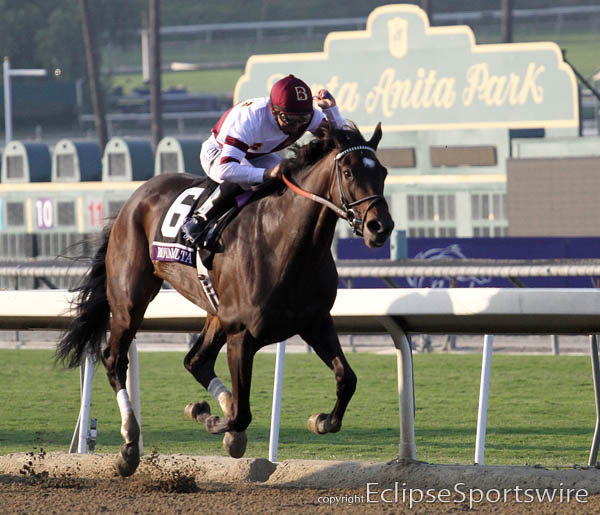 Royal Delta