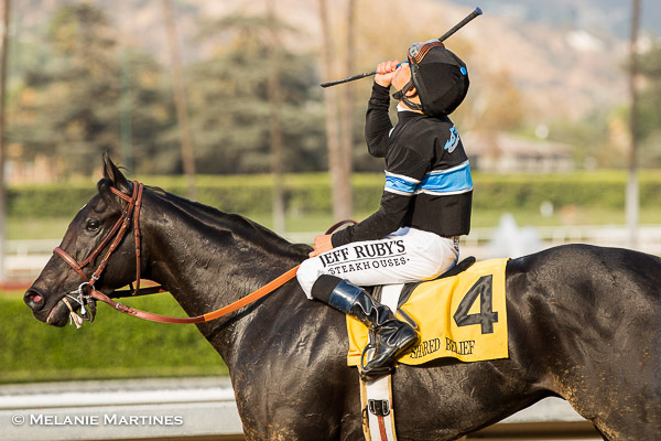 After Shared Belief's death, owner Jim Rome to stay in horse racing