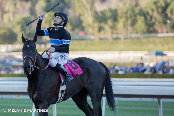 After Shared Belief's death, owner Jim Rome to stay in horse racing