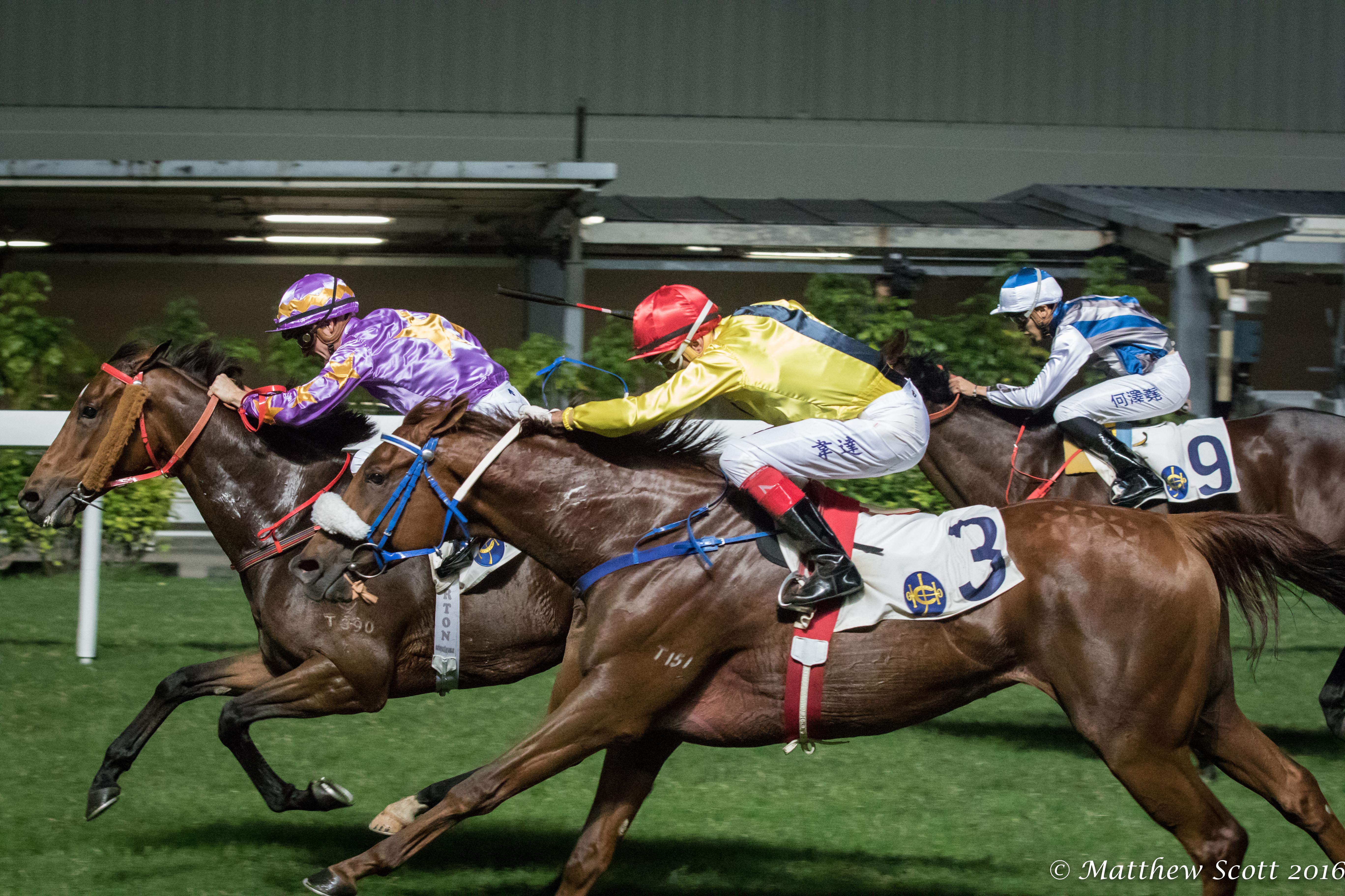 A Night at Happy Valley Horse Racing Nation