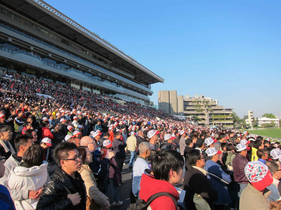 The crowd at Sha Tin