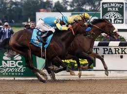 Union Rags Belmont Stakes