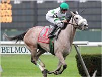Winter Memories at Belmont