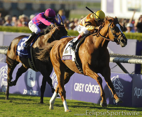 Wise Dan