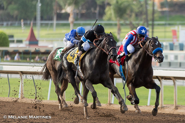 After Shared Belief's death, owner Jim Rome to stay in horse racing