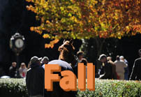 Fall