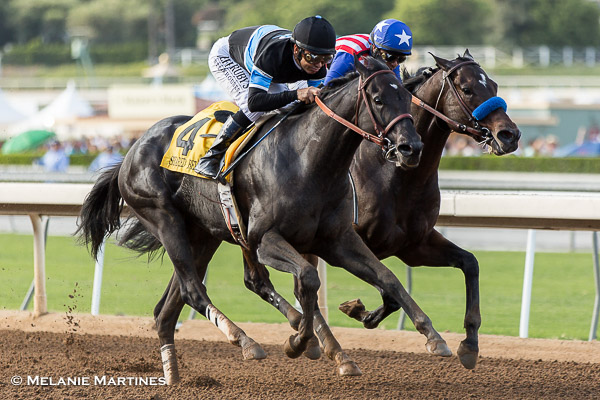 After Shared Belief's death, owner Jim Rome to stay in horse racing