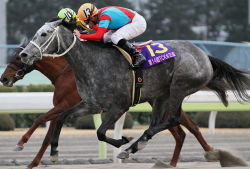 La Verita running in Japan.  Photo from himawarikazushi.blogspot.com
