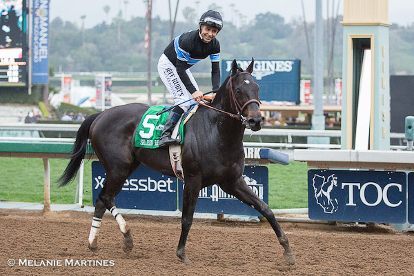 After Shared Belief's death, owner Jim Rome to stay in horse racing