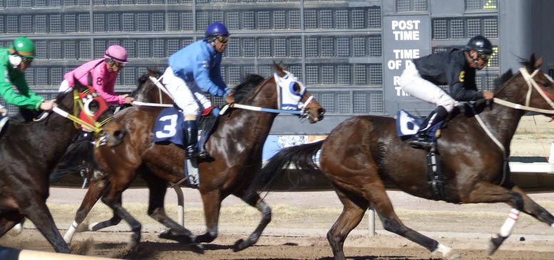 Down the stretch at Rillito Park